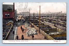Commercial Avenue Stock Yards Chicago Illinois IL 1908 DB Postcard M8 - £2.28 GBP