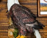 Large Mountain Grand Bald Eagle Perching On Tree Branch Wall Decor Plaqu... - $71.99