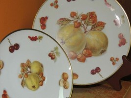 Winterling Bavaria Plate 7.75&quot; &amp; Saucer Germany Apple Fruit Nut Gold Har... - $11.69