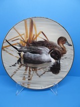 American Waterbirds  &quot;Pintails&quot;  Signed By Artist Rod Lawrence  Plate #4789 VGC - £14.95 GBP