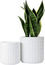 Dsben White Ceramic Plant Pots- 5 6 Inch Concave Dot Patterned Planter Modern - £35.90 GBP