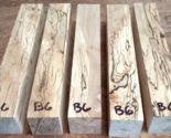 FIVE (5) SPALTED BEECH TURNING BLANKS 2&quot; X 2&quot; X 12&quot; B6 - $34.60