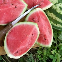 US Seller Crimson Sweet Watermelon Seeds Watermelon Melons Organic Watermelon - £7.39 GBP