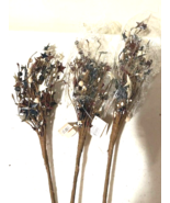 3 Americana Berry Stems with tin Stars - $41.01 CAD