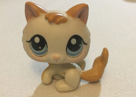 Littlest Pet Shop LPS Kitten Baby Kitty Cat White Orange Blue Eyes #134 - $13.99