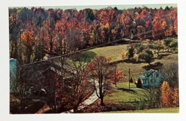 Lycoming County Buttonwood Williamsport PA Fall Autumn Foliage Postcard c1970s - £6.38 GBP