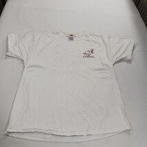 Fruit Of The Loom Phoenix Coyotes Men's White Cotton Graphic T-Shirt Size XL image 13