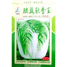 Chinese Cabbage Autumn Vegetables Seeds 10 Grams Pack Heat Resistance Disease Re - $11.27