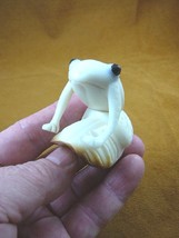 (TNE-FROG-298) white tree FROG amphibian TAGUA NUT Figurine carving I lo... - $24.84
