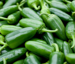 Jalapeno M Pepper Seeds 50 Spicy Mexican Culinary Salsa Culinary - $8.35