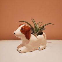 Dog with Air Plant, Airplant in Puppy Plant Pot, Air Plant Animal Planter image 4