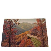 Postcard Autumn Scene Newfound Gap Highway Great Smoky Mountains Chrome Unposted - £5.61 GBP