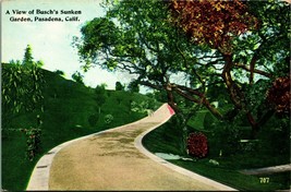 Path Through Busch Sunken Garden Pasadena California CA UNP DB Postcard E1 - £3.12 GBP