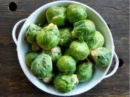 FREE SHIPPING sprout Brassica oleracea heirloom 250 seeds - £9.42 GBP