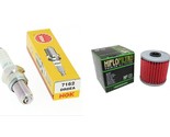 Oil Filter &amp; NGK Spark Plug Tune Up Kit For 2001-2003 Kawasaki KEF Lakot... - $8.90