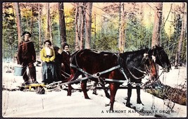 Collecting Sap at a Vermont Maple Sugar Grove ca. 1910 Color Postcard - £9.63 GBP