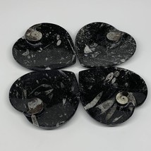 4Pcs, 4.8&quot;x4.7&quot; Small Heart Fossils Orthoceras Ammonite Bowls @Morocco, B8792 - £38.48 GBP