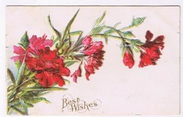 Greeting Postcard Embossed Best Wishes Red Carnations - £2.31 GBP