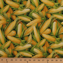 Corn Vegetables Husks Garden Food Farmer Country Cotton Fabric Print Bty D574.62 - £28.31 GBP