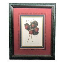 The Downton Strawberry Framed Print with Burgundy and Green Matte - £247.34 GBP