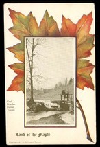 Vintage Postcard Land of the Maple Creek Rosedale Ravine Toronto Canada 1907 - £11.86 GBP