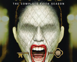 American Horror Story Hotel Season 5 DVD | Region 4 - £14.10 GBP