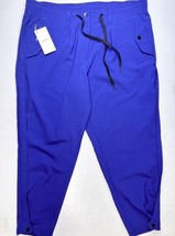 Paskho Sanctuary Cropped Pleated Stretch Tech Travel Pants Womens XL Blue NEW - £108.56 GBP