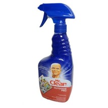 Mr Clean Outdoor Pro Multi-Purpose Cleaner 22oz Discontinued Rare - £33.60 GBP