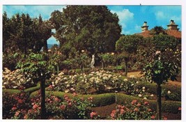 California Postcard San Simeon Hearst Hybrid Tea Roses Venus of Cyrene - £1.70 GBP