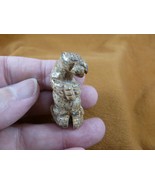 (Y-OTT-LA-552) little Tan Jasper SEA OTTER carving figurine marine river... - $14.01