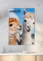 Aalpacas A3 Calendar 2025 - Pets/Animals- Month To View - Wirobound. - £12.04 GBP