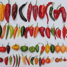 USA Seller Custom Hot Pepper Mix Made From 70 Kinds Fast Shipping - £14.71 GBP