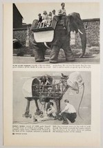 1950 Magazine Photo Article Jumbo Elephant Robot Kids Ride on Back - $11.68