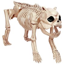 Realistic Fake Dead Pet Zombie Skeleton Pit Bull Dog Creepy Halloween Decoration - £53.29 GBP