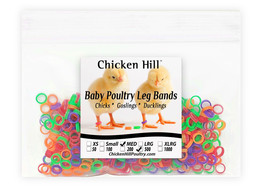500 Chick Leg Bands ~ 1/4&quot; MED Size 4 Baby Poultry Mix of 4 colors - $16.99