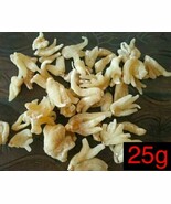 Salam-Panja, Salab-Panja,Mishri-Marsh-Orchis-Dactylorhiza Hatagirea herb... - $28.24 CAD