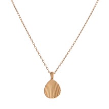 Dainty Brass Seashell Charm Necklace - £10.28 GBP