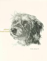 #166 WIRE HAIRED DOXIE Dachshund  print * Pen and ink drawing by Jan Jel... - $12.50