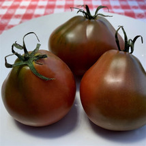 30 Black Truffle Tomato Seeds Fresh Gardening - $9.63