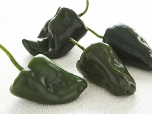 Ancho Poblano Pepper Hot Chilli Mild Aji 50 Seeds Fresh Garden - £14.10 GBP