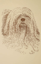Lhasa Apso Dog Art Print #236 WORD DRAWING Kline will add your dogs name... - $49.95