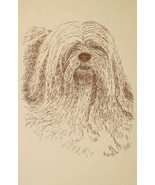 Lhasa Apso Dog Art Print #236 WORD DRAWING Kline will add your dogs name... - £40.02 GBP