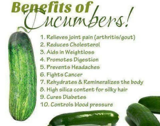 70 Plus National Pickling Cucumber Seeds- Open Pollinated- NON-GMO-Organic - $4.60