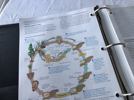 Campbell Biology Eleventh Edition, loose leaf, Pearson image 5