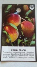 FRANK PEACH 4'-6' Tree Live Plant Sweet Juicy Peaches Fruit Trees Plants Orchard - £110.10 GBP