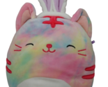 Squishmallows Easter Cat Plush With Bunny Ears pink blue yellow purple t... - $19.79