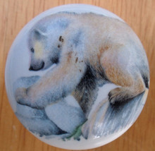 Ceramic Cabinet Knobs American Polar Bear Cub Wildlife - £4.09 GBP