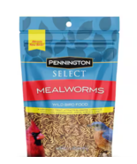 Mealworms Wild Bird Food 17.6 oz.  - $34.99