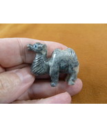 Y-CAM-29 gray CAMEL camels desert SOAPSTONE FIGURINE gemstone carving dr... - $160.27 MXN