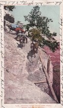 Grand Canyon Arizona Grand View Trail 1905 UDB RPO Postcard E08 - £7.85 GBP